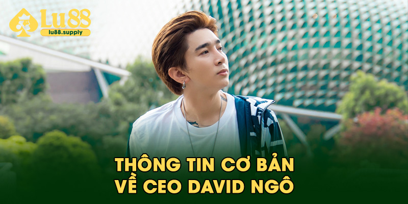 Thông tin cơ bản về CEO David Ngô